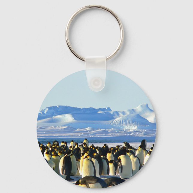 Chaveiro Pinguins imperadores (Frente)