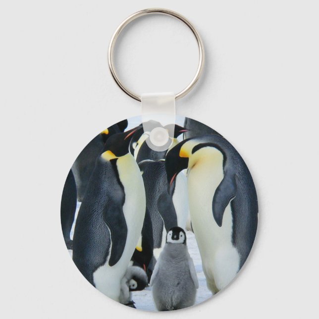 Chaveiro Pinguins imperadores (Frente)