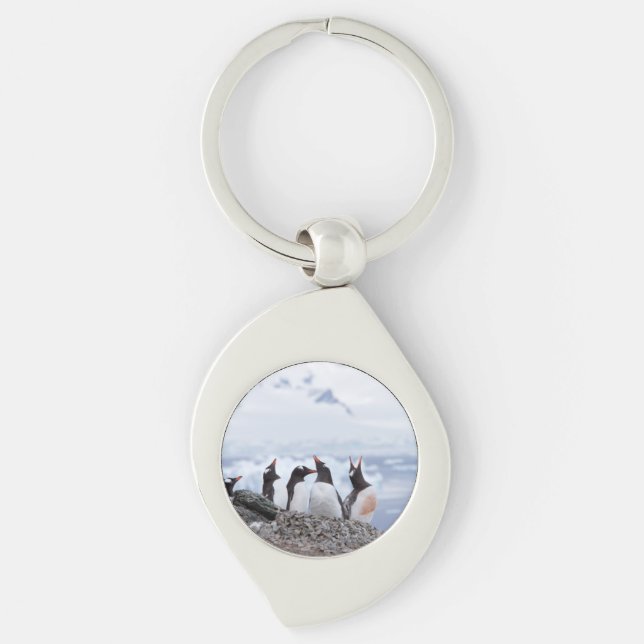 Chaveiro Pinguins na Antártica (Frente)