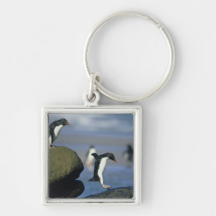 Chaveiro Pinguins Rockhopper, Eudyptes chrysocome),