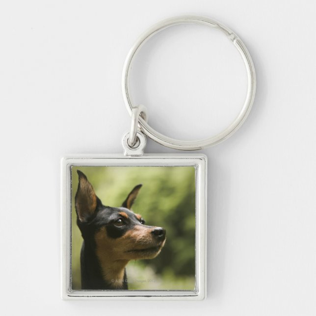 Chaveiro Pinscher diminuto (Minuto-Pin) (Frente)