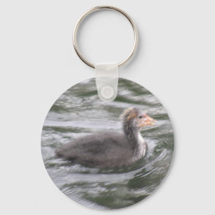 Chaveiro Pintinho de coot em água salgada