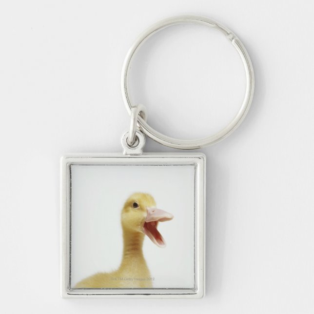 Chaveiro Pintinho do pato de Pekin, cabeça-tiro (Frente)