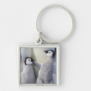Chaveiro Pintinho do pinguim de imperador