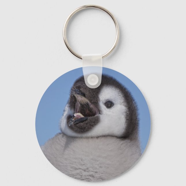 Chaveiro Pintinho Imperador Penguin (Frente)