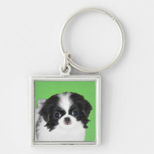 Chaveiro Pintura De Cachorro Japonês - Arte Original De Ca