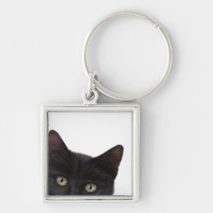 Chaveiro Pintura digital de Gatinho curiosa