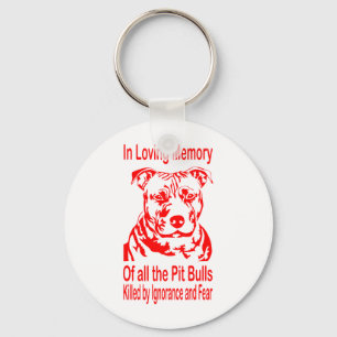CHAVEIRO PITBULL