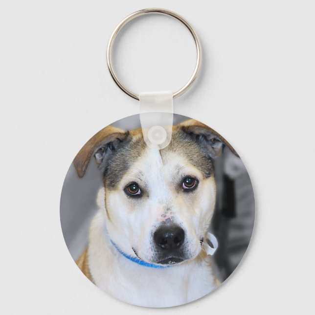 Chaveiro Pitbull de Raça Mista/Chaveiro de Labrador Amarelo (Frente)