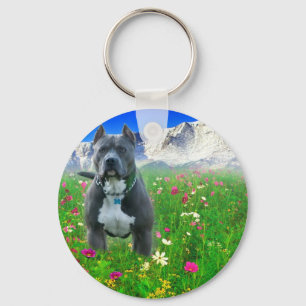 Chaveiro Pitbull Terrier americano azul, pico dos piques