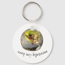 planetário borb