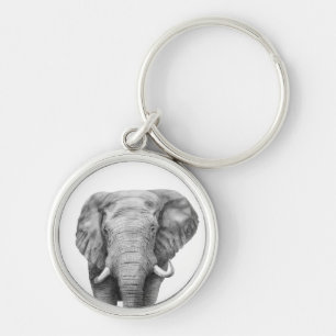 Chaveiro Plano de backup IV