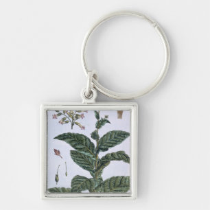 Chaveiro Planta de tabaco, placa 7, 'da coleção Precieuse
