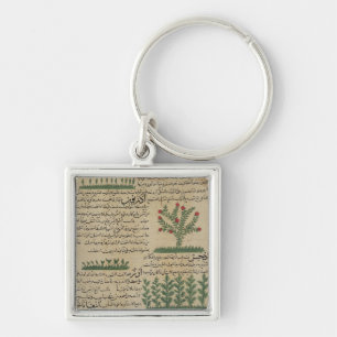 Chaveiro Plantas botânicas, ilustração 'do