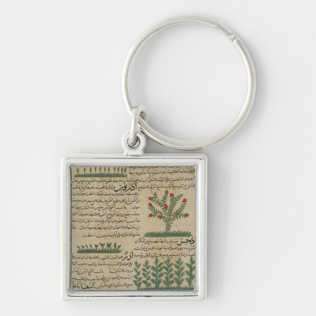 Chaveiro Plantas botânicas, ilustração 'do (Frente)