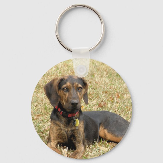 Chaveiro Plott Hound (Frente)
