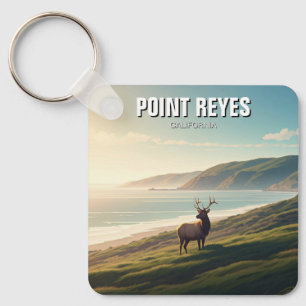 Chaveiro Point Reyes National Seashore Elk