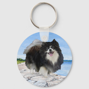Chaveiro Pomerânia Preto na Costa Marítima