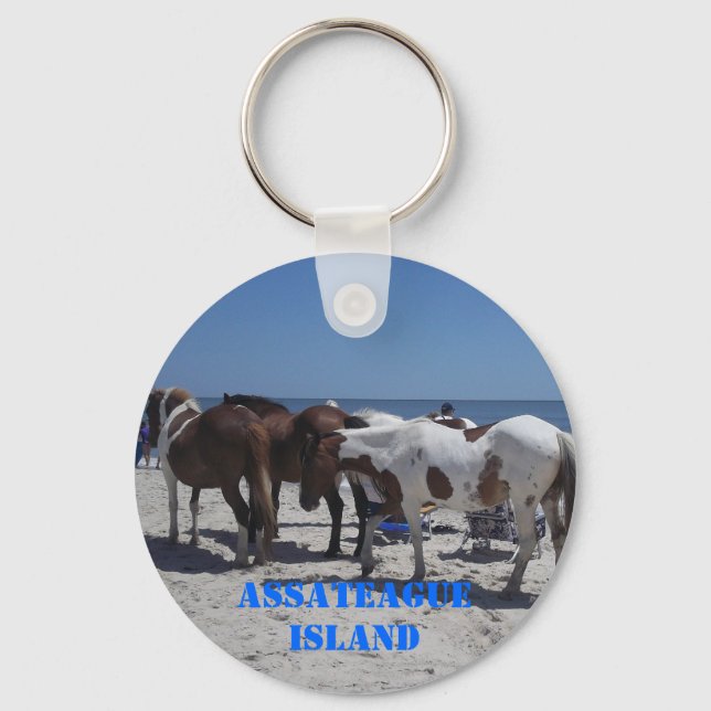Chaveiro Ponies Insulares de Assateague (Frente)