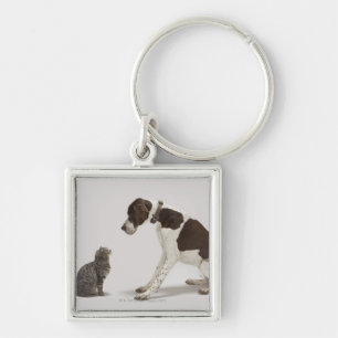 Chaveiro Ponteiro que olha para baixo no gato