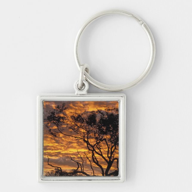 Chaveiro Pôr do sol, Parque Nacional Uluru-Kata Tjuta, (Frente)