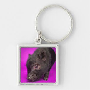 Chaveiro Porco preto do bebê