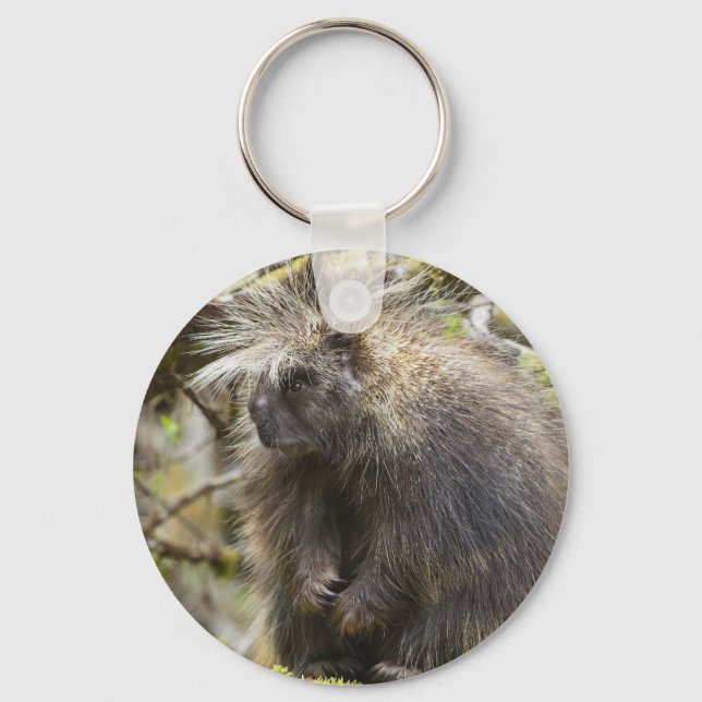 Chaveiro Porcupina determinada (Frente)