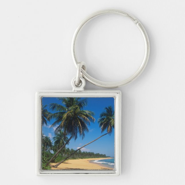 Chaveiro Porto Rico, Isla Verde, palmeiras. (Frente)