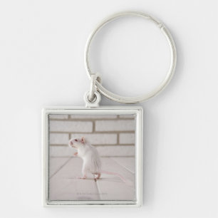 Chaveiro Posição do Gerbil