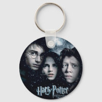 Poster do Harry Potter Movie