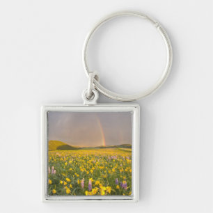 Chaveiro Prado de flores silvestres espetacular ao nascer d