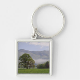 Chaveiro Prado enevoado e Rich Mountain, Cades Cove,