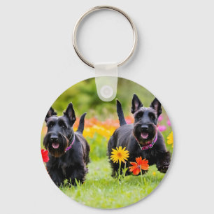 Chaveiro Prances Scottish Terriers em erva e flores