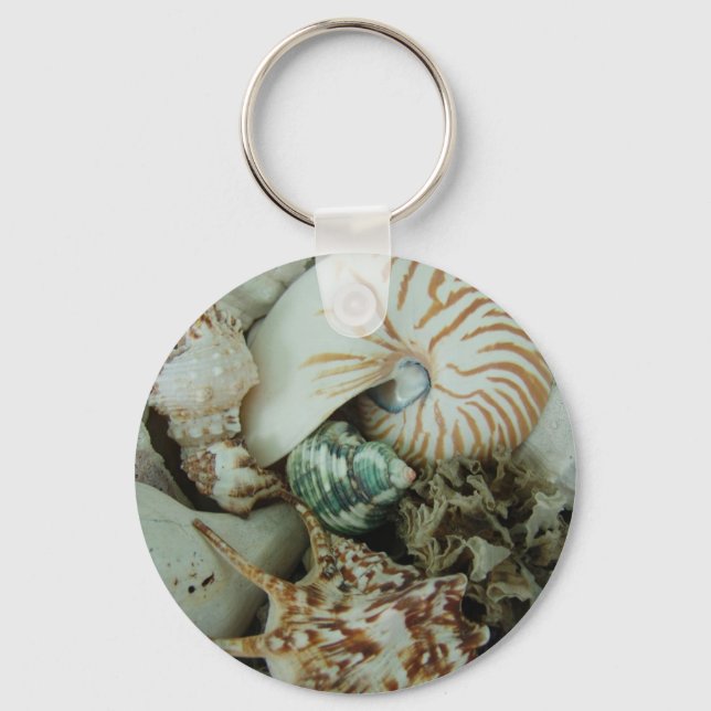 Chaveiro Prateleiras do Mar da Flórida (Frente)