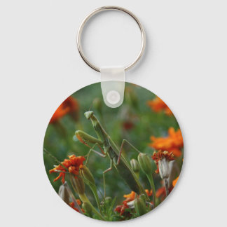 Chaveiro Praying Mantis