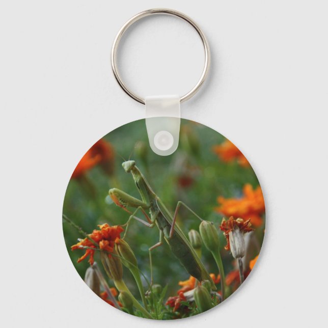 Chaveiro Praying Mantis (Frente)