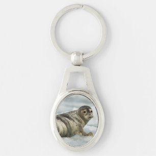 Chaveiro Precioso Baby Seal