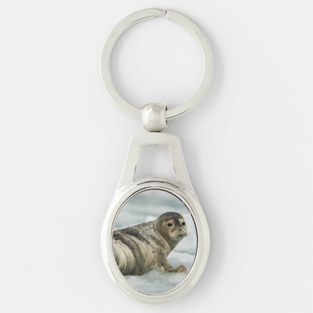 Chaveiro Precioso Baby Seal (Frente)
