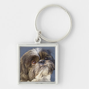 Chaveiro Premium de Filhote de Shih Tzu