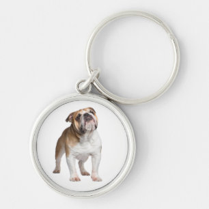 Chaveiro Presente para Amante de Cachorro Inglês Fofo Puls