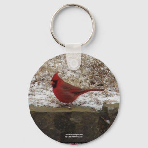 Chaveiro Presentes Cardinal Hot Springs Nat. Park Mountain