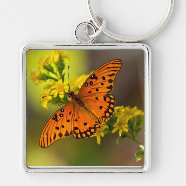 Chaveiro Presentes e Roupas da Borboleta Fritillary Gulf (Frente)