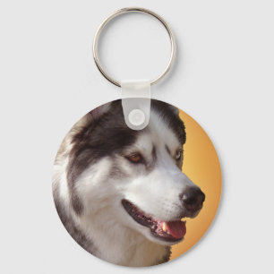 Chaveiro Presentes roncos do Malamute do rouco Siberian do