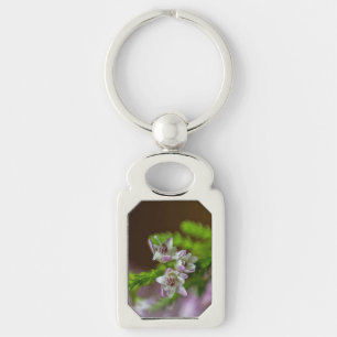 Chaveiro Primavera de Heather flor verde florescente branco
