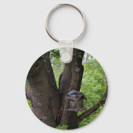 Chaveiro Procurando uma mordida para comer