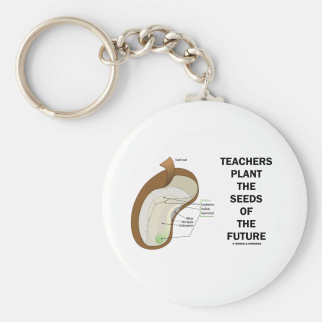 Chaveiro Professores Plantam Sementes Do Futuro (Sementes D (Frente)