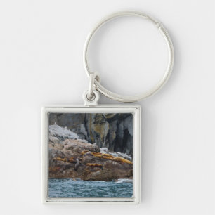 Chaveiro Próximo na linha