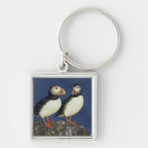 Chaveiro Puffin-do-Atlântico