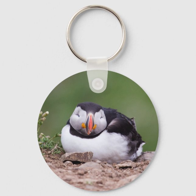 Chaveiro Puffin Dormindo (Frente)