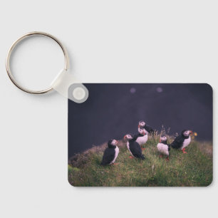 Chaveiro Puffins Atlântico